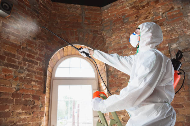 Best Forensic Mold Investigation  in The Plains, OH