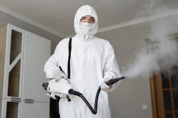 Best Mold Removal for HVAC Installations  in The Plains, OH