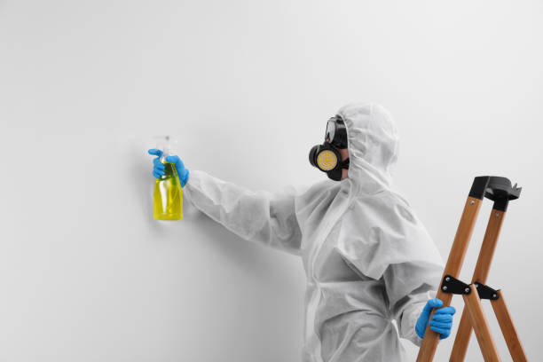 Best Emergency Mold Remediation  in The Plains, OH